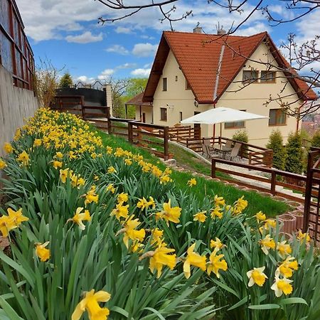 Apartament Matei Brașov Exterior foto