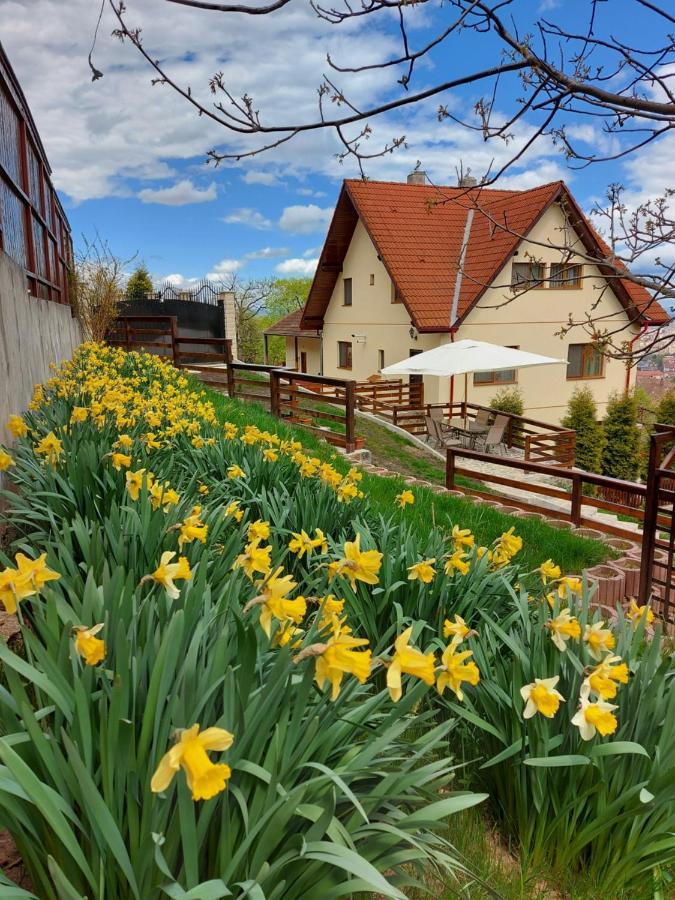 Apartament Matei Brașov Exterior foto