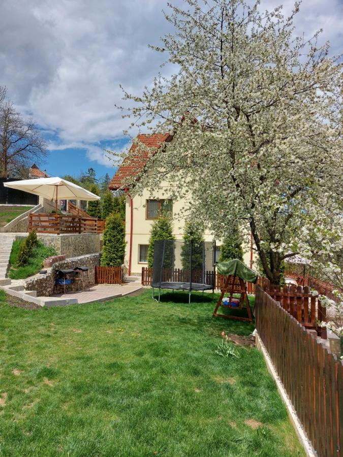 Apartament Matei Brașov Exterior foto